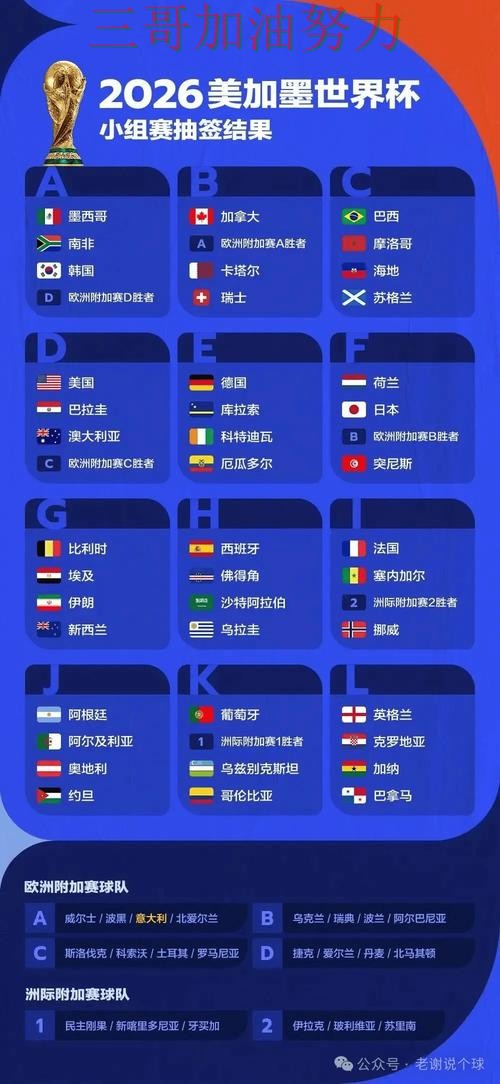 世界杯投注平台哪个好？全面评测带你了解（2026世界杯）